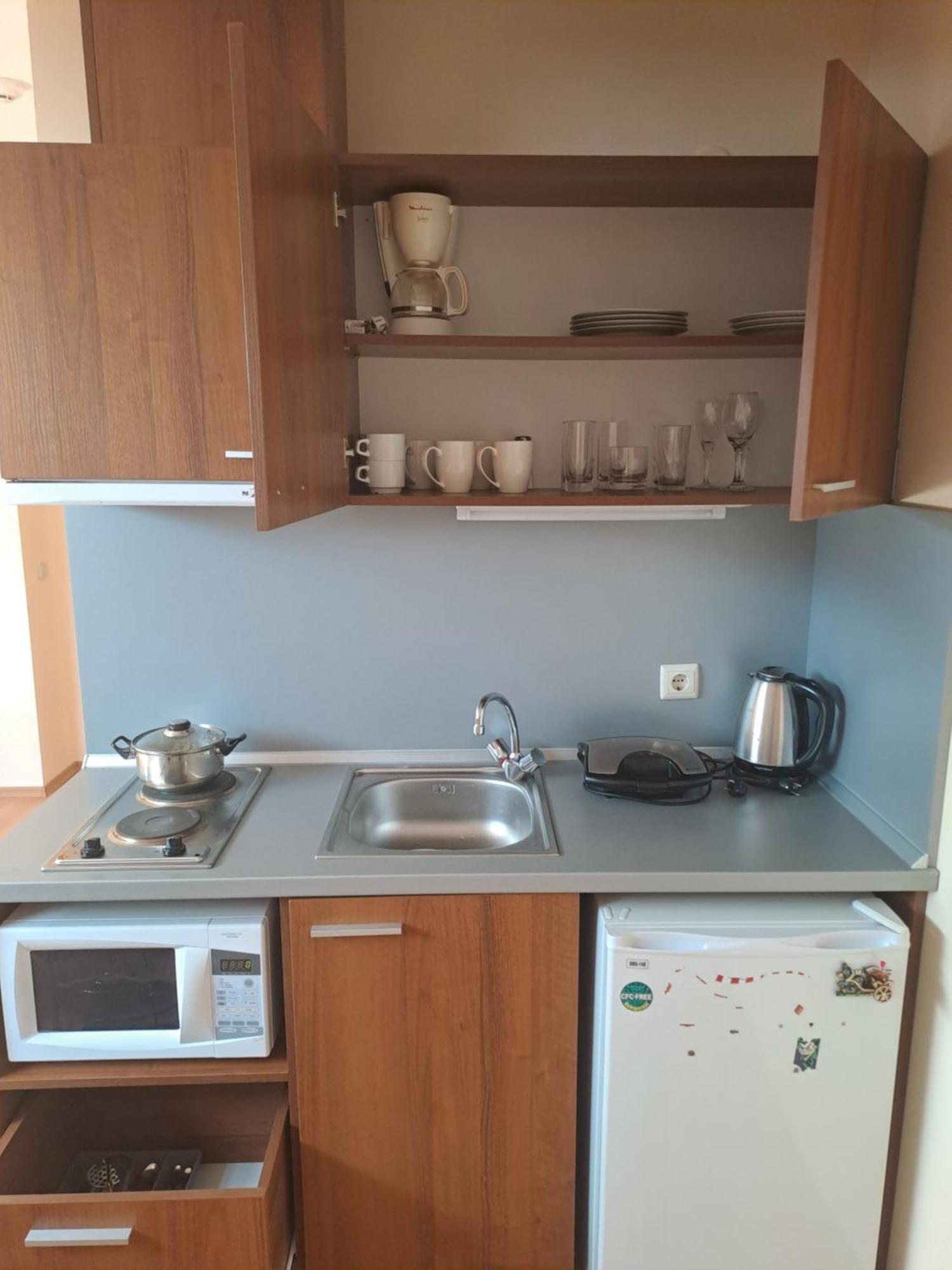 בורובץ Family Studio 407, Villa Park מראה חיצוני תמונה